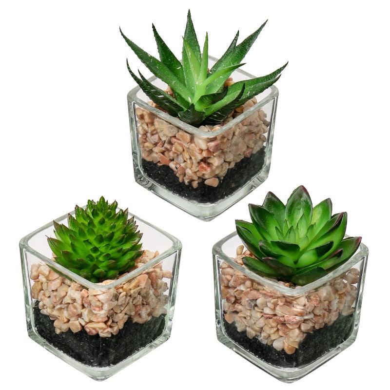 Briful Set of 3 Succulents Plants Artificial in Glass Pots Small Fake Succulents Plants Faux Plants Indoor for Home Office Table Desk Shelf Room Decor - Image 1